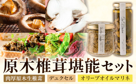 原木椎茸堪能セット 肉厚原木生椎茸 500g しいたけのデュクセル 2本 オリーブオイルマリネ 1本 合同会社 原田山業《90日以内に出荷予定(土日祝除く)》熊本県 菊池市 椎茸 しいたけ きのこ 肉厚 デュクセル オリーブオイル マリネ 瓶詰め セット 詰め合わせ