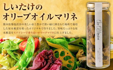 原木椎茸堪能セット 肉厚原木生椎茸 500g しいたけのデュクセル 2本 オリーブオイルマリネ 1本 合同会社 原田山業《90日以内に出荷予定(土日祝除く)》熊本県 菊池市 椎茸 しいたけ きのこ 肉厚 デュクセル オリーブオイル マリネ 瓶詰め セット 詰め合わせ