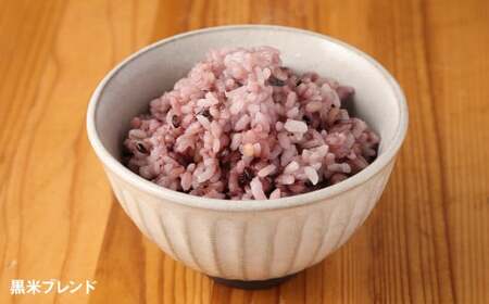 熊本県 菊池産 もち麦入り雑穀米 贅沢ブレンド 計1.8kg 600g×3種《30日以内に出荷予定(土日祝除く)》