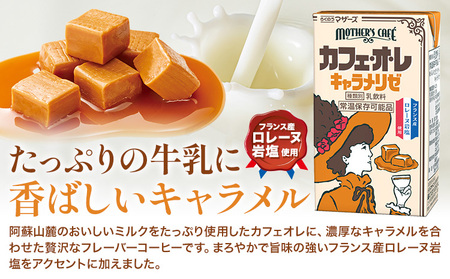 常温保存可能 カフェオレ キャラメリゼ 250ml×24本 1ケース 合同会社たべたせいか《30日以内に出荷予定(土日祝除く)》熊本県 菊池市 コーヒー牛乳 カフェ・オ・レ キャラメル 乳飲料 乳性飲料 らくのうマザーズ ドリンク 飲み物 飲料 セット 紙パック
