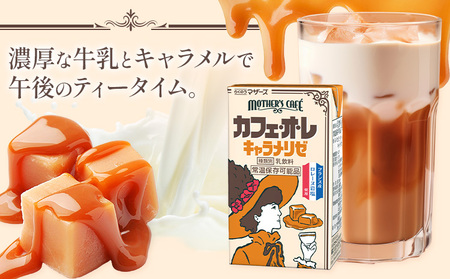 常温保存可能 カフェオレ キャラメリゼ 250ml×24本 1ケース 合同会社たべたせいか《30日以内に出荷予定(土日祝除く)》熊本県 菊池市 コーヒー牛乳 カフェ・オ・レ キャラメル 乳飲料 乳性飲料 らくのうマザーズ ドリンク 飲み物 飲料 セット 紙パック