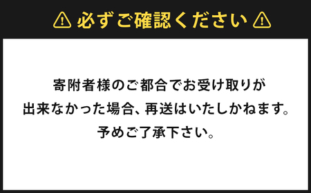 ミラクルすぱいすふ～塩 旨ミックス 65g(1本) スパイス 