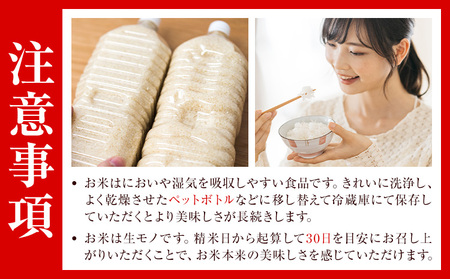 令和7年産 つるたファームの米 極ヒノヒカリ 特別栽培米 ヒノヒカリ 5kg 株式会社七城の恵み《11月頃から出荷開始》熊本県 菊池市 米 ひのひかり つるたファーム