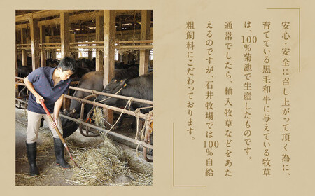 黒毛和牛 ヒレ ・ シャトーブリアン ステーキ 約150g×2枚 合計 約300g 牛肉 牛