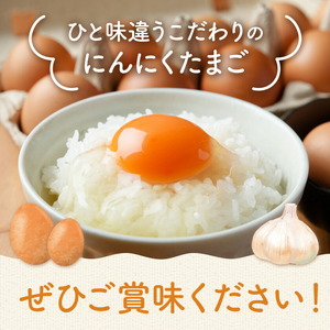 卵 にんにくたまご 内容量 60個 株式会社つづき《90日以内に出荷予定(土日祝除く)》熊本県 菊池市 卵 たまご にんにく卵 鶏卵 熊本県産 九州産 冷蔵 送料無料