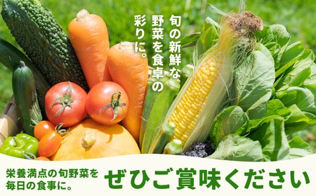 【定期便】 野菜 10品程度 計5回【メロンドーム】 定期便 5ヶ月お届け 詰め合わせ セット 国産 九州産 熊本県 菊池市 道の駅 送料無料《お申し込みの翌月から出荷》