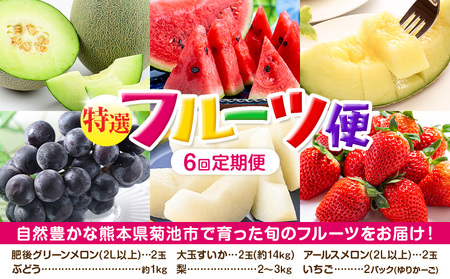 【定期便6回】特選フルーツ便 6種類 6回定期便 【メロンドーム】 フルーツ 果物 メロン すいか ぶどう 梨 いちご 九州産 熊本県産 送料無料 《お申込み月の翌月から出荷開始》