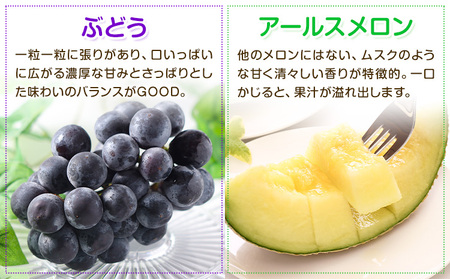 【定期便6回】特選フルーツ便 6種類 6回定期便 【メロンドーム】 フルーツ 果物 メロン すいか ぶどう 梨 いちご 九州産 熊本県産 送料無料 《お申込み月の翌月から出荷開始》