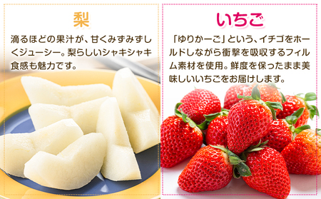 【定期便6回】特選フルーツ便 6種類 6回定期便 【メロンドーム】 フルーツ 果物 メロン すいか ぶどう 梨 いちご 九州産 熊本県産 送料無料 《お申込み月の翌月から出荷開始》