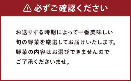 野菜 セット 8品 旬の野菜 やさい 詰合せ 詰め合わせ【養生市場】