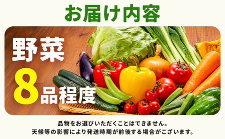 野菜セット 8品 養生市場 詰め合わせ セット 品種おまかせ 有限会社七城町特産品センター《90日以内に出荷予定(土日祝除く)》熊本県 菊池市 ランダム 野菜 旬の野菜 九州産 熊本県産