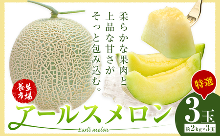 アールスメロン 約2kg×3玉 特選 (約6kg)【養生市場】メロン 果物 フルーツ マスクメロン 九州産 熊本県産 送料無料 《2026年10月中旬-11月中旬頃出荷予定》
