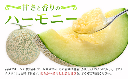 アールスメロン 約2kg×3玉 特選 (約6kg)【養生市場】メロン 果物 フルーツ マスクメロン 九州産 熊本県産 送料無料 《2026年10月中旬-11月中旬頃出荷予定》