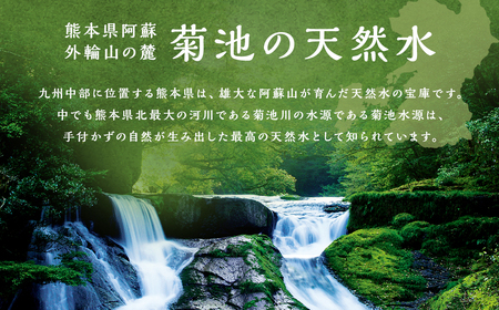 熊本 天然水 (くまモンシリカ天然水) 500ml×42本 合計21L 水 飲料水 ミネラルウォーター ペットボトル