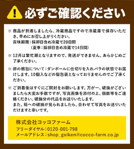 コッコファームのたまご 40個 コッコファーム《90日以内に出荷予定(土日祝除く)》熊本県 菊池市 卵 鶏卵 玉子 たまご 家庭用 熊本県産 九州産 冷蔵 送料無料