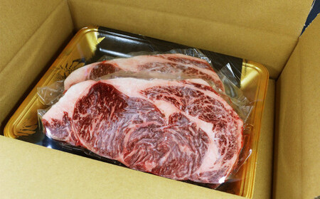 肥後の赤牛 ロースステーキ 約500g  (約250g×2枚) 国産 和牛 牛肉 ステーキ