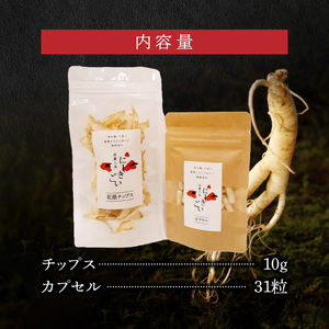 128-29　高麗人参   乾燥チップス10ｇ、カプセル31粒_V28-0029