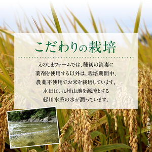 85-13_1　えのしまファーム　令和5年産　森のくまさん　白米5ｋｇ　栽培期間中農薬不使用！_U85-0013_1
