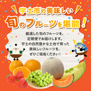 T002-2026 【フルーツ定期便B】2026年旬の味覚限定セット!