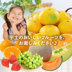 T002-2026 【フルーツ定期便B】2026年旬の味覚限定セット!