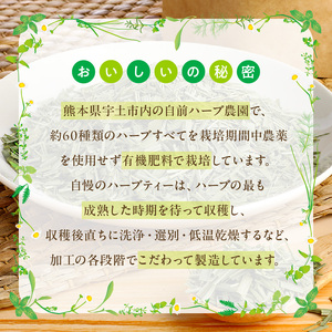 42-18 熊本ハーブ園レモングラス 熊本県産リラックスハーブティー(業務用)