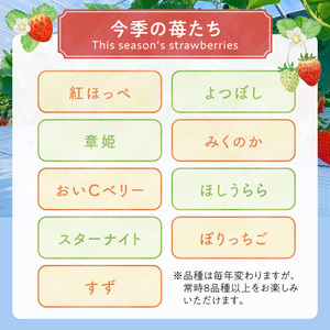142-1　じろべえの観光農園 いちご狩り体験！大人２名様分！