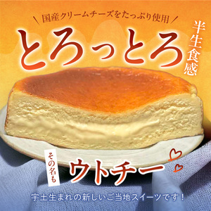 145-3　赤い看板　バスクチーズケーキ(ブルーチーズ)