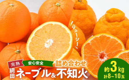101-12　村田果樹園　網田ネーブルと不知火の詰め合わせ　約3kg