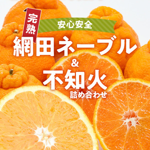 101-12　村田果樹園　網田ネーブルと不知火の詰め合わせ　約3kg