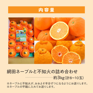101-12　村田果樹園　網田ネーブルと不知火の詰め合わせ　約3kg