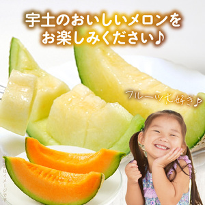 T006-meron【メロン便】年に3回お届け！メロン専門の定期便！