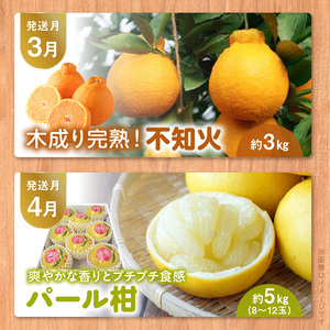 T006-mikan【オレンジ便】年に5回お届け！柑橘専門の定期便！