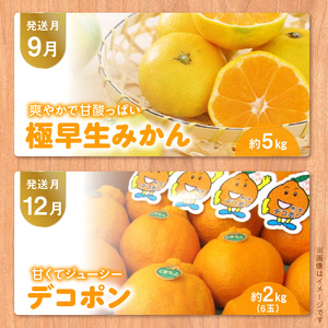 T006-mikan【オレンジ便】年に5回お届け！柑橘専門の定期便！
