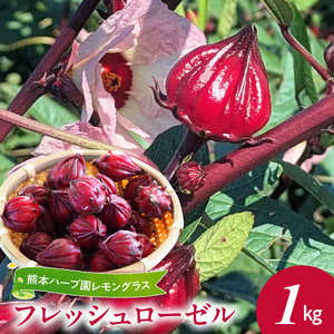 熊本ハーブ園レモングラス　フレッシュローゼル(1kg)_U42-0020