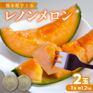 【先行予約】河野FARM　レノンメロン2玉(1玉：約1.2kg)_U143-0004