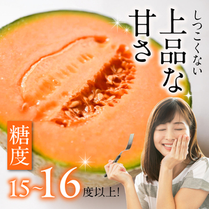 【先行予約】河野FARM　レノンメロン2玉(1玉：約1.2kg)_U143-0004