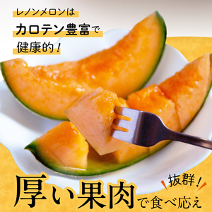 【先行予約】河野FARM　レノンメロン2玉(1玉：約1.2kg)_U143-0004