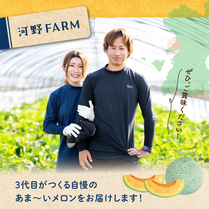 【先行予約】河野FARM　レノンメロン2玉(1玉：約1.2kg)_U143-0004
