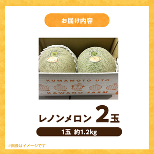 【先行予約】河野FARM　レノンメロン2玉(1玉：約1.2kg)_U143-0004