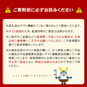 45-9　住吉漁協　後継者が育てたブランドの新海苔「紫陽花」(全形８枚×５パック)
