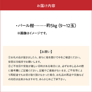 64-50 あいあい パール柑 約5kg