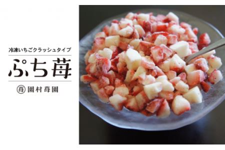74-20　園村苺園【先行受付】宇土産 完熟冷凍いちご「ぷち苺」1kg（500g×2パック）