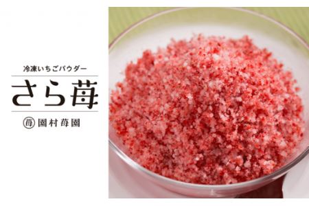 F74-41 園村苺園 熊本県宇土産 完熟冷凍いちご「さら苺」1kg（500g×2
