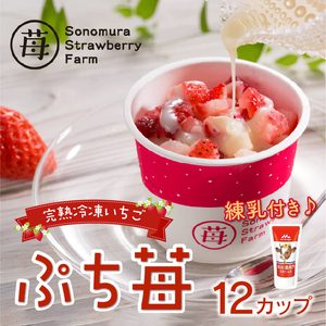 74-30　園村苺園　宇土産 完熟冷凍いちご「ぷち苺」50ｇ×12カップ　練乳付き