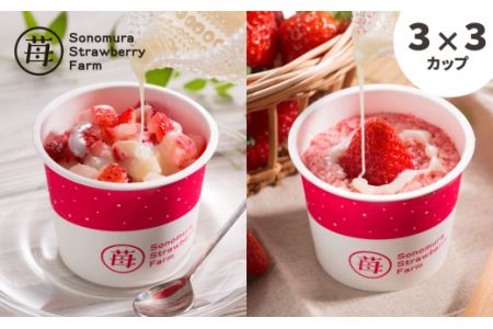 74-35　園村苺園　宇土産 完熟冷凍いちご「ぷち苺」と「さら苺」各3カップ　練乳付き