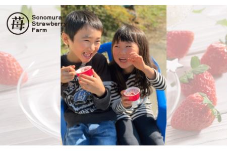 74-35　園村苺園　宇土産 完熟冷凍いちご「ぷち苺」と「さら苺」各3カップ　練乳付き