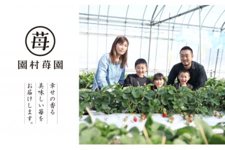 74-35　園村苺園　宇土産 完熟冷凍いちご「ぷち苺」と「さら苺」各3カップ　練乳付き