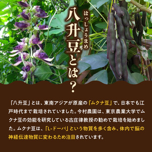 102-1　今村農園　無農薬栽培　焙煎　八升豆茶　3袋