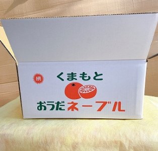 101-15【訳あり】　村田果樹園　減農薬で安心安全な完熟網田ネーブル　約５kg（大きさ：M～３L　約25玉）