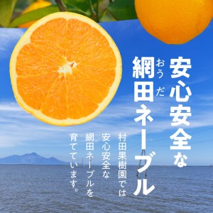 101-16 村田果樹園 減農薬で安心安全な完熟網田ネーブル 約3kg(8玉~12玉)